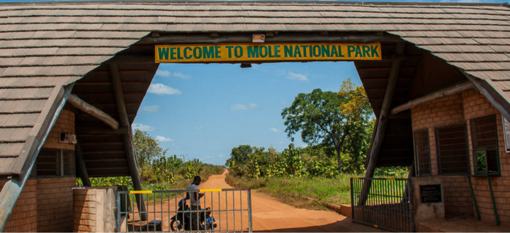 Savannah Heritage 5 Mole National Park (2)
